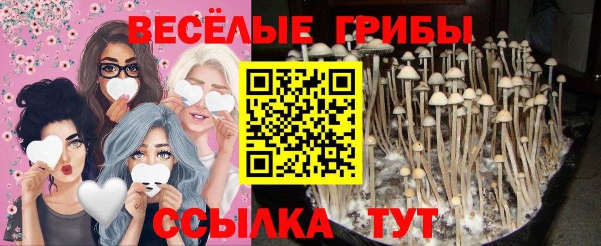 Псилоцибиновые грибы Magic Shrooms Кузнецк
