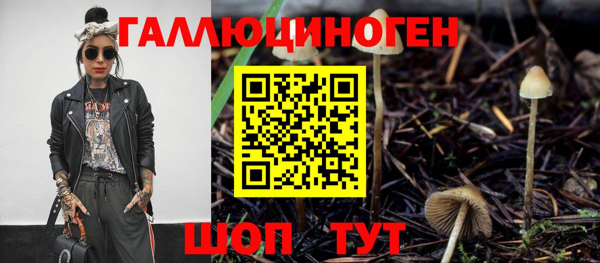 Кузнецк  Псилоцибиновые грибы MAGIC MUSHROOMS  Вход с VPN 